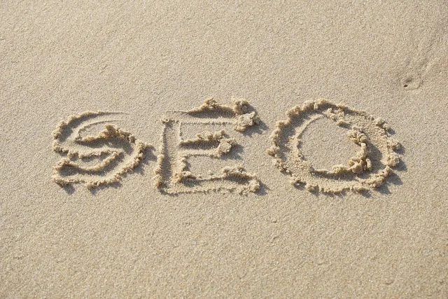 seo, beach, sand, seo, seo, seo, seo, seo. How to research SEO tools with buyer surveys